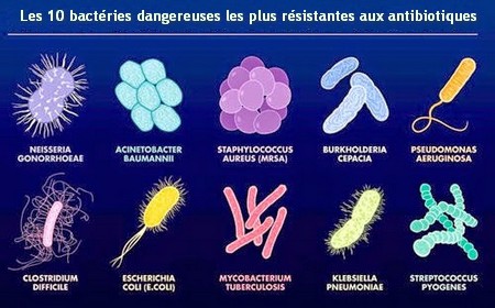 frequencetherapie bacteries danger