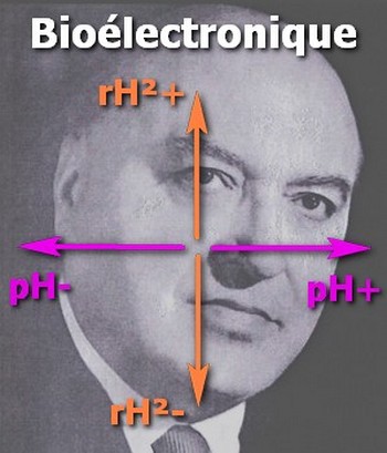 BEV bioelectronique