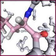 bioélectronique acides aminés electriques