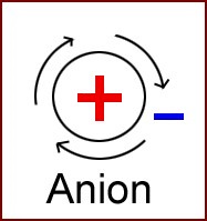 Bioélectronique ions polarité anion