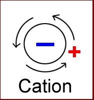 Bioélectronique ions polarité cation