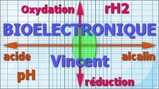 bioélectronique entête