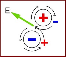 Bioélectronique ions force ionique