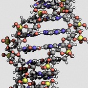 bioélectronique proteines électrique