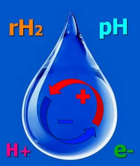 bioélectronique eau polarisée
