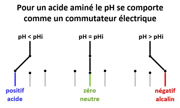 pH commutateur electrique