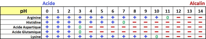 tableau acides aminés polarisés