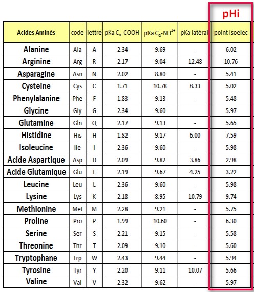 polarité acides amines pHi