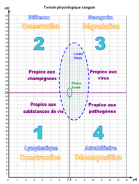 energescence cadran bioelectronique terrain physiologique pt