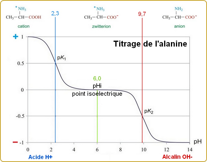 titrage alanine exemple