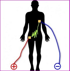 energescence zapper patch