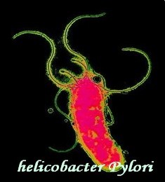 fréquencethérapie bacterie helicobacter