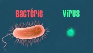 frequencetherapie prasites taille