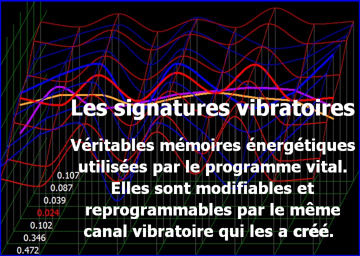 energescence biorésonance séance mémoires