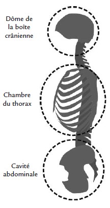 sonothérapie caisse résonance os