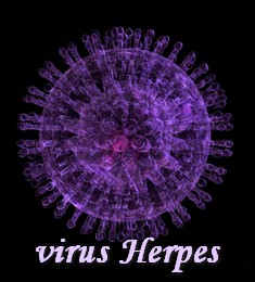 fréquencethérapie parasites herpes